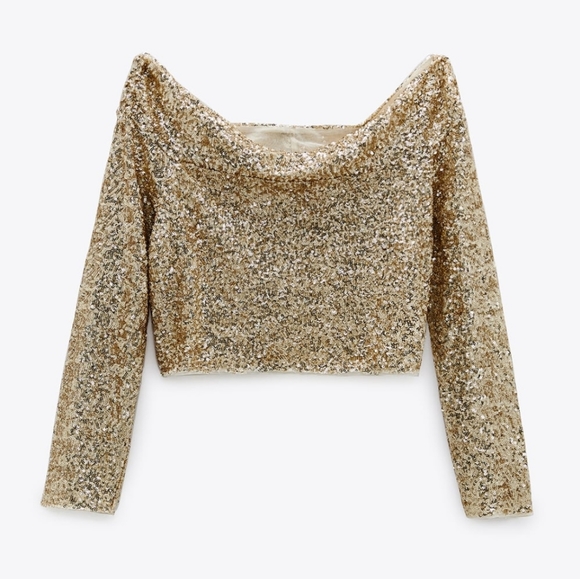 Zara | Tops | Zara Limited Edition Sequin Top Bloggers Favorite | Poshmark